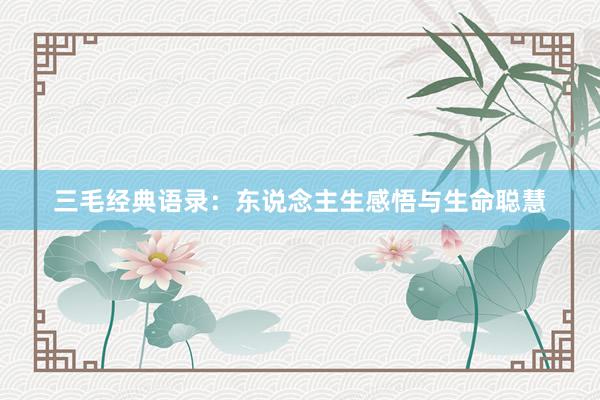 三毛经典语录：东说念主生感悟与生命聪慧